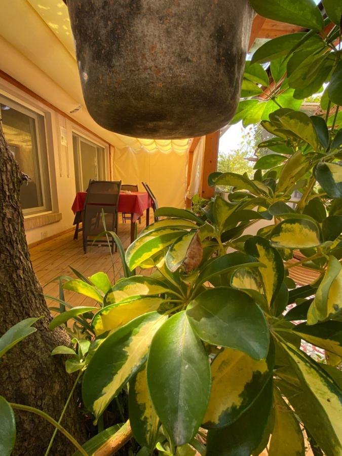 Villa Ancora Bilocale Marina di Massa Exterior foto